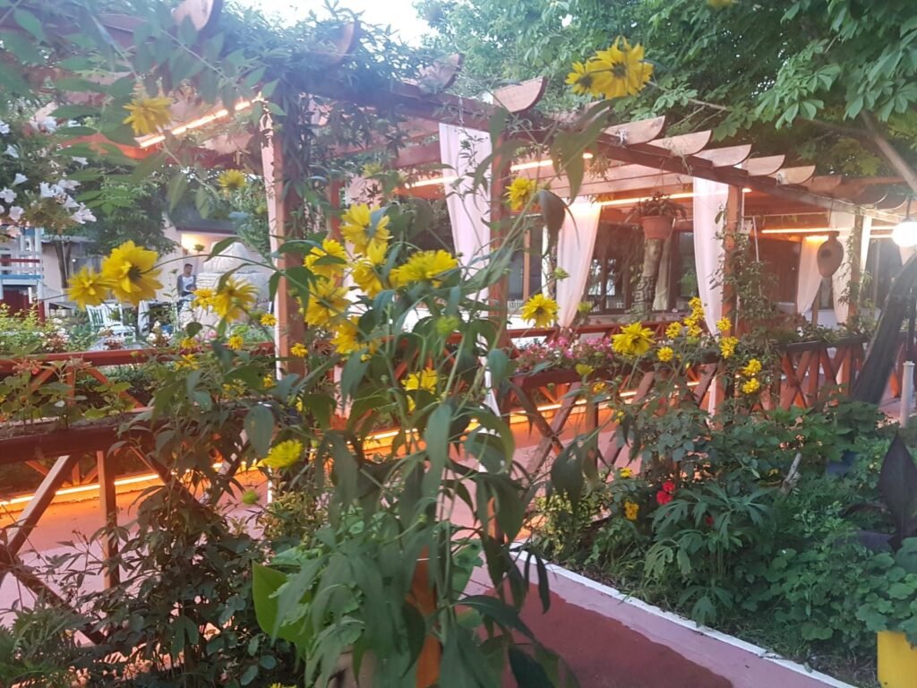 Çamlık Bahçe kır bahçesinde düğün
